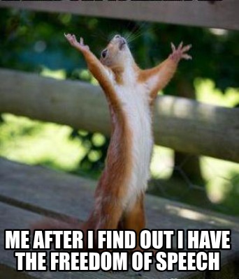 me-after-i-find-out-i-have-the-freedom-of-speech
