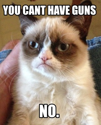 you-cant-have-guns-no