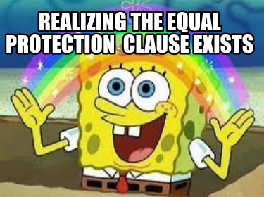 realizing-the-equal-protection-clause-exists