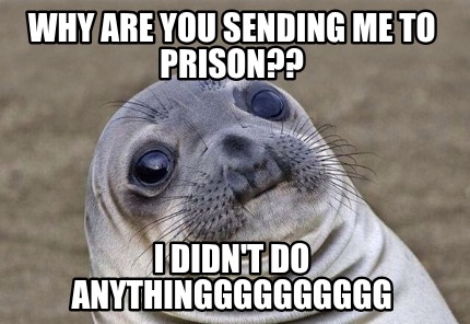 why-are-you-sending-me-to-prison-i-didnt-do-anythingggggggggg