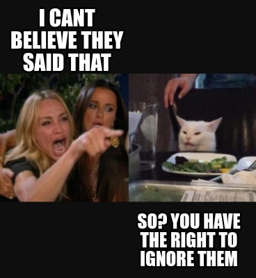 i-cant-believe-they-said-that-so-you-have-the-right-to-ignore-them