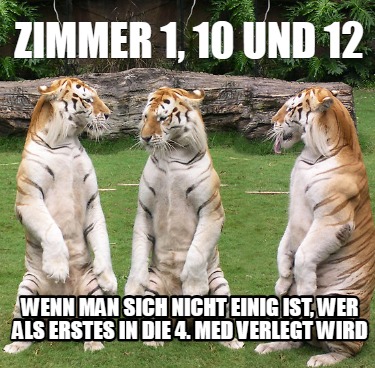 zimmer-1-10-und-12-wenn-man-sich-nicht-einig-ist-wer-als-erstes-in-die-4.-med-ve
