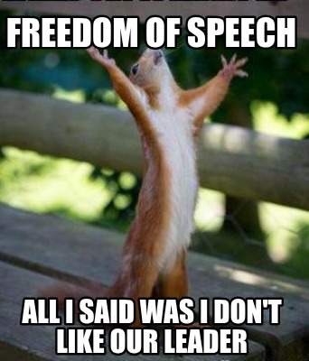 freedom-of-speech-all-i-said-was-i-dont-like-our-leader