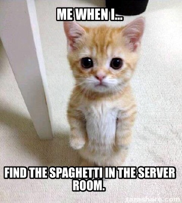 me-when-i-find-the-spaghetti-in-the-server-room
