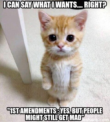 i-can-say-what-i-wants....-right-1st-amendments-yes-but-people-might-still-get-m