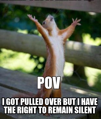 pov-i-got-pulled-over-but-i-have-the-right-to-remain-silent