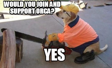 would-you-join-and-support-orca-yes