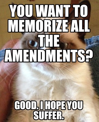 you-want-to-memorize-all-the-amendments-good.-i-hope-you-suffer