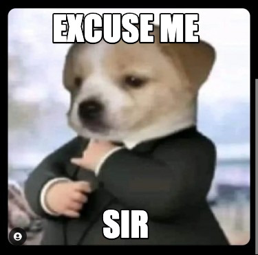excuse-me-sir5
