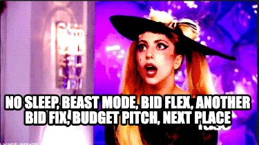 no-sleep-beast-mode-bid-flex-another-bid-fix-budget-pitch-next-place