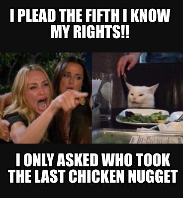 i-plead-the-fifth-i-know-my-rights-i-only-asked-who-took-the-last-chicken-nugget
