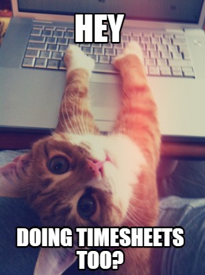 hey-doing-timesheets-too