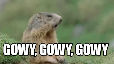 gowy-gowy-gowy