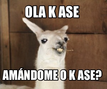 ola-k-ase-amndome-o-k-ase