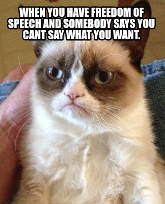 when-you-have-freedom-of-speech-and-somebody-says-you-cant-say-what-you-want