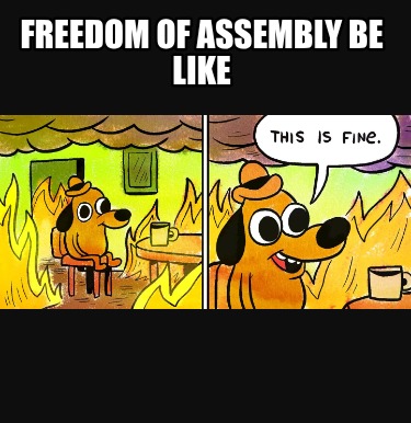 freedom-of-assembly-be-like