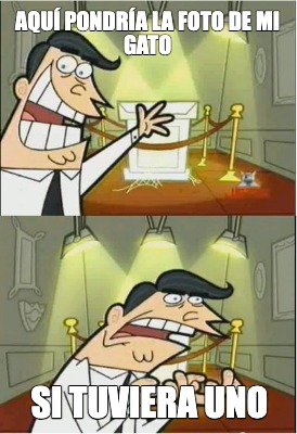 aqu-pondra-la-foto-de-mi-gato-si-tuviera-uno