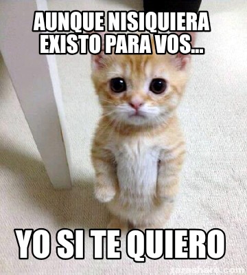 aunque-nisiquiera-existo-para-vos...-yo-si-te-quiero