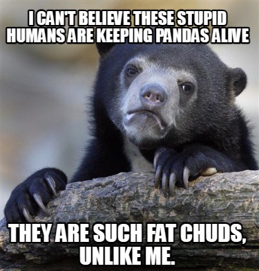 i-cant-believe-these-stupid-humans-are-keeping-pandas-alive-they-are-such-fat-ch