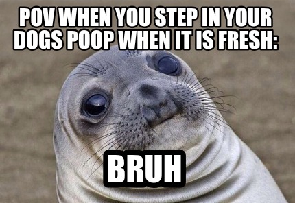 pov-when-you-step-in-your-dogs-poop-when-it-is-fresh-bruh