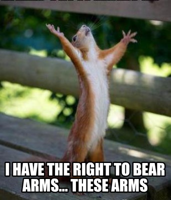 i-have-the-right-to-bear-arms...-these-arms