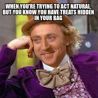 when-youre-trying-to-act-natural-but-you-know-you-have-treats-hidden-in-your-bag