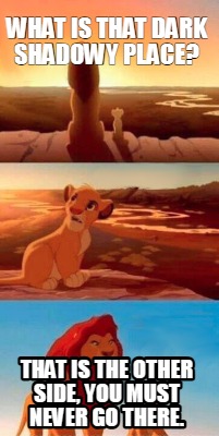 what-is-that-dark-shadowy-place-that-is-the-other-side-you-must-never-go-there