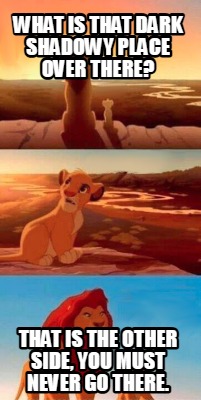 what-is-that-dark-shadowy-place-over-there-that-is-the-other-side-you-must-never