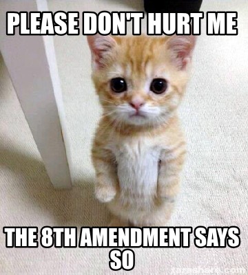 please-dont-hurt-me-the-8th-amendment-says-so