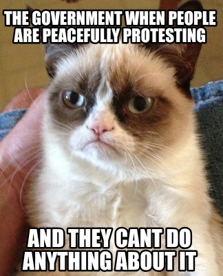 the-government-when-people-are-peacefully-protesting-and-they-cant-do-anything-a