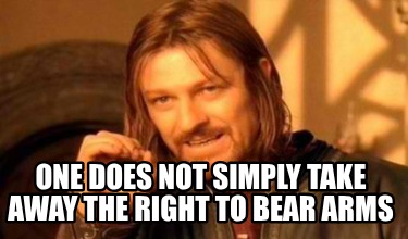 one-does-not-simply-take-away-the-right-to-bear-arms
