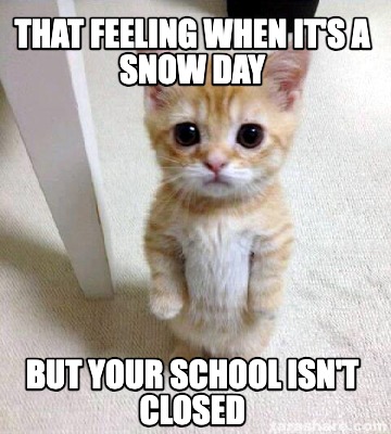 that-feeling-when-its-a-snow-day-but-your-school-isnt-closed