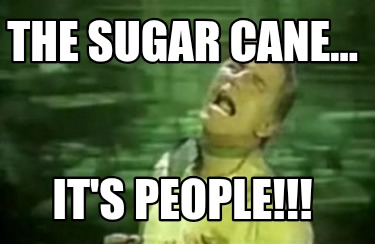 the-sugar-cane...-its-people