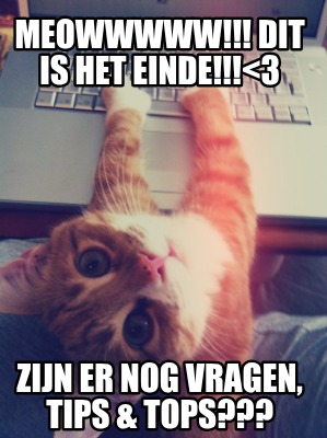 meowwwww-dit-is-het-einde
