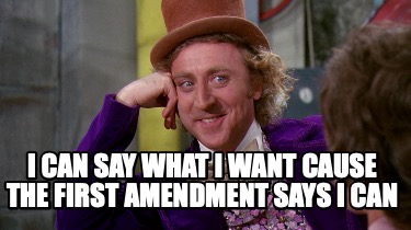 i-can-say-what-i-want-cause-the-first-amendment-says-i-can