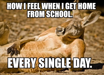 how-i-feel-when-i-get-home-from-school.-every-single-day