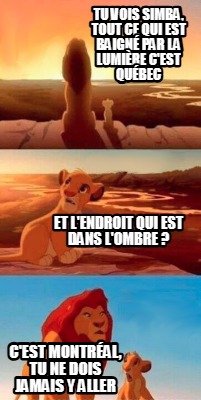 tu-vois-simba-tout-ce-qui-est-baign-par-la-lumire-cest-qubec-et-lendroit-qui-est