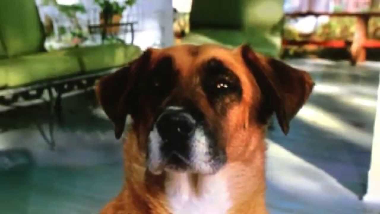 Meme Creator Blueberry Pancakes Bitch Meme Generator at