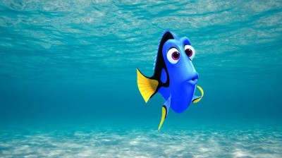 Meme Creator Dory At Sea Meme Generator At Memecreator Org